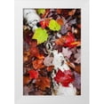 thumbnail image 1 of Flaherty, Dennis 11x14 White Modern Wood Framed Museum Art Print Titled - NH, White Mountains Log and fallen maple leaves, 1 of 4