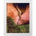 thumbnail image 1 of Flaherty, Dennis 12x14 White Modern Wood Framed Museum Art Print Titled - USA, Utah, Zion NP View of Double-Arch Alcove, 1 of 4