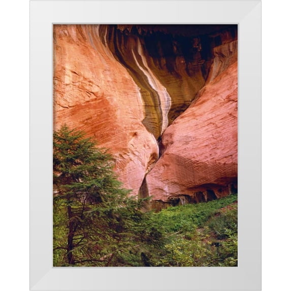 Flaherty, Dennis 12x14 White Modern Wood Framed Museum Art Print Titled - USA, Utah, Zion NP View of Double-Arch Alcove