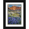 thumbnail image 1 of Flaherty, Dennis 13x18 Black Ornate Wood Framed with Double Matting Museum Art Print Titled - California Blooming lupine at Division Creek, 1 of 4