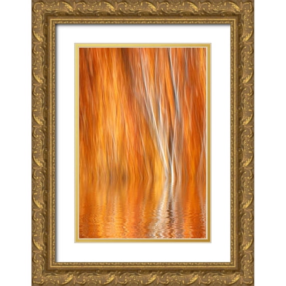 Flaherty, Dennis 13x18 Gold Ornate Wood Framed with Double Matting Museum Art Print Titled - CA, Grant Lake Abstract of autumn aspen trees