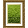 thumbnail image 1 of Flaherty, Dennis 13x18 Gold Ornate Wood Framed with Double Matting Museum Art Print Titled - Japan, Nara, Heguri-cho Field of growing rice, 1 of 4