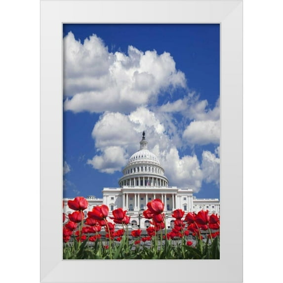 Flaherty, Dennis 13x18 White Modern Wood Framed Museum Art Print Titled - Washington DC, tulips by the Capitol building