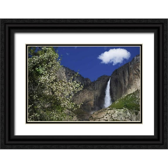 Flaherty, Dennis 14x11 Black Ornate Wood Framed with Double Matting Museum Art Print Titled - CA, Yosemite Apple tree and Upper Yosemite Falls