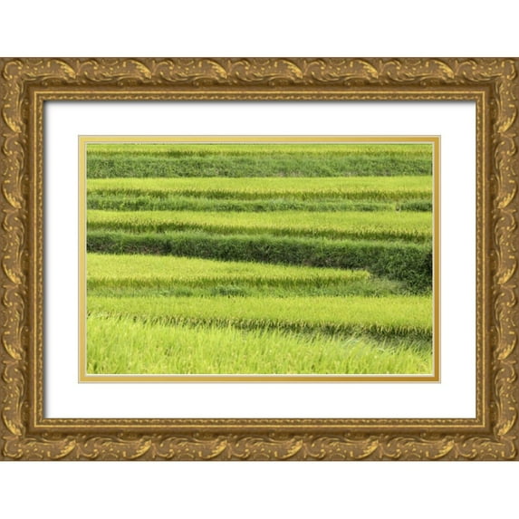 Flaherty, Dennis 14x11 Gold Ornate Wood Framed with Double Matting Museum Art Print Titled - Asia, Japan Rice terraces in Nara Prefecture