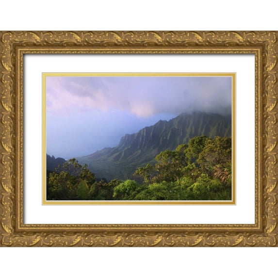 Flaherty, Dennis 14x11 Gold Ornate Wood Framed with Double Matting Museum Art Print Titled - Hawaii, Kauai Kalalau Overlook of Na Pali Coast