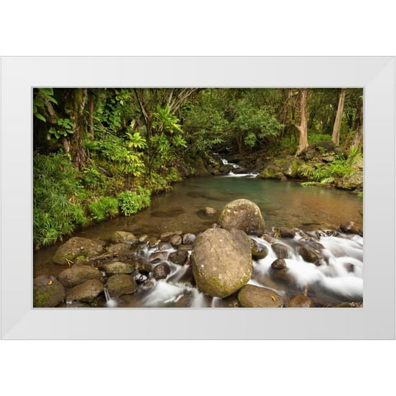 Flaherty, Dennis 14x11 White Modern Wood Framed Museum Art Print Titled - Hawaii, Kauai Creek flowing from a rainforest