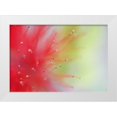 thumbnail image 1 of Flaherty, Dennis 14x11 White Modern Wood Framed Museum Art Print Titled - Mexico, Baja California, Baja fairy duster shrub, 1 of 4