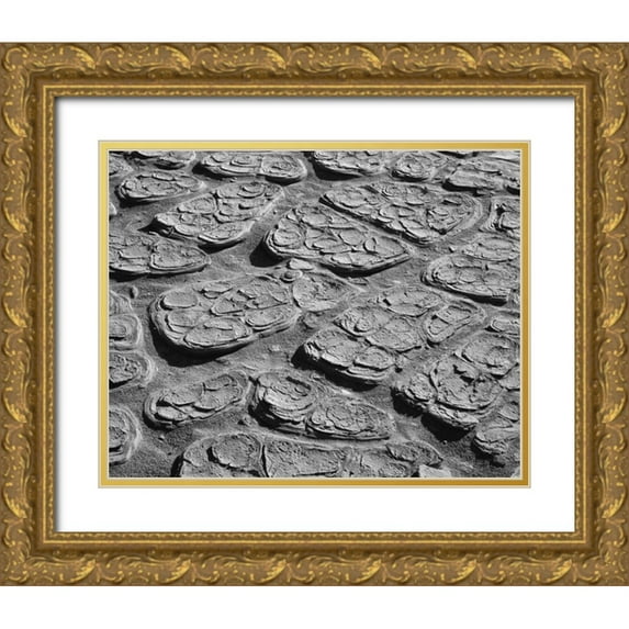 Flaherty, Dennis 14x12 Gold Ornate Wood Framed with Double Matting Museum Art Print Titled - CA, Death Valley Cracked mud of the playa floor