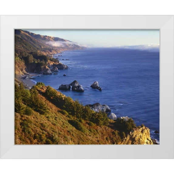 Flaherty, Dennis 14x12 White Modern Wood Framed Museum Art Print Titled - CA, Julia Pfeifer Burns SP Shoreline scenic