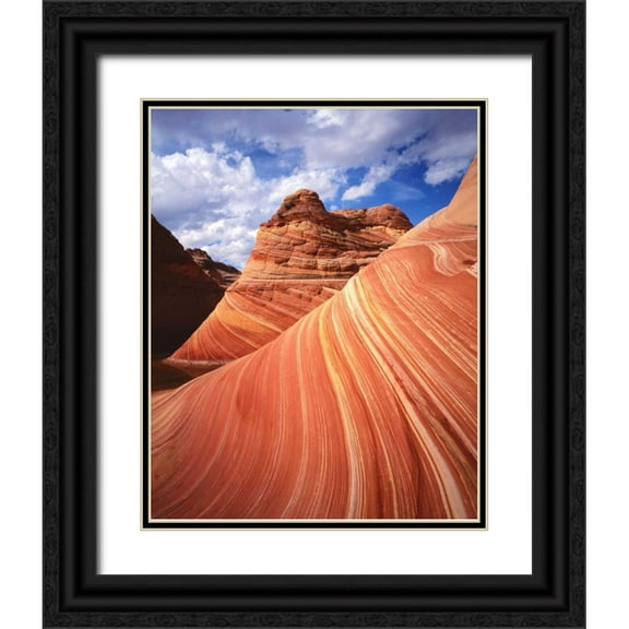 Flaherty, Dennis 15x18 Black Ornate Wood Framed with Double Matting Museum Art Print Titled - Utah, Paria Canyon The Wave formation, sandstone