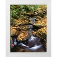 thumbnail image 1 of Flaherty, Dennis 15x18 White Modern Wood Framed Museum Art Print Titled - Georgia, Cherokee NF Small creek in autumn, 1 of 4