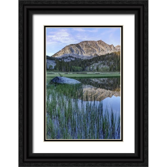 Flaherty, Dennis 17x24 Black Ornate Wood Framed with Double Matting Museum Art Print Titled - California, Sierra Nevada Grass Lake reflection