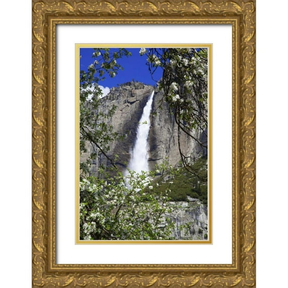 Flaherty, Dennis 17x24 Gold Ornate Wood Framed with Double Matting Museum Art Print Titled - CA, Yosemite Apple tree and Upper Yosemite Falls