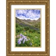 thumbnail image 1 of Flaherty, Dennis 17x24 Gold Ornate Wood Framed with Double Matting Museum Art Print Titled - Colorado, San Juan Mts, flowers in American Basin, 1 of 4