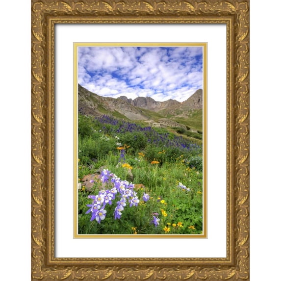 Flaherty, Dennis 17x24 Gold Ornate Wood Framed with Double Matting Museum Art Print Titled - Colorado, San Juan Mts, flowers in American Basin