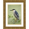 thumbnail image 1 of Flaherty, Dennis 17x24 Gold Ornate Wood Framed with Double Matting Museum Art Print Titled - SC, Charleston Black-crowned night heron, 1 of 4