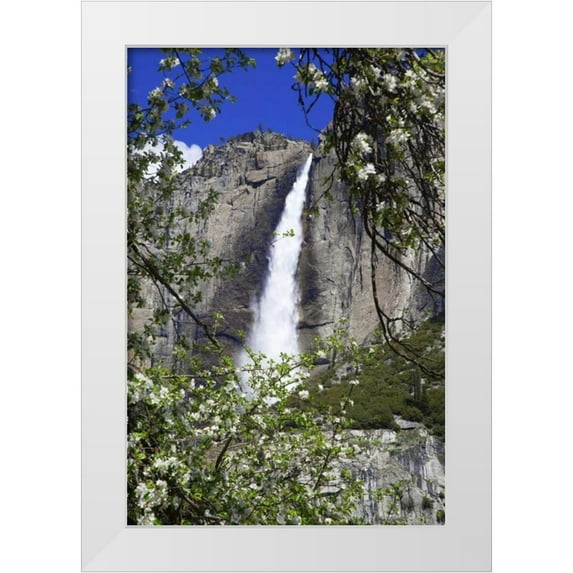 Flaherty, Dennis 17x24 White Modern Wood Framed Museum Art Print Titled - CA, Yosemite Apple tree and Upper Yosemite Falls