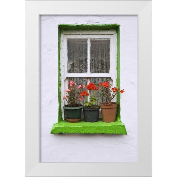 Flaherty, Dennis 17x24 White Modern Wood Framed Museum Art Print Titled - Ireland, Cashel Potted flowers on a window sill