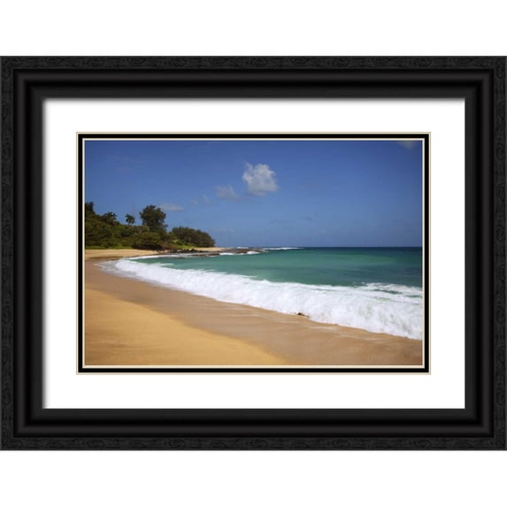 Flaherty, Dennis 18x13 Black Ornate Wood Framed with Double Matting Museum Art Print Titled - USA, Hawaii, Kauai Wave breaks on deserted beach