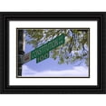 thumbnail image 1 of Flaherty, Dennis 18x13 Black Ornate Wood Framed with Double Matting Museum Art Print Titled - Washington DC, Constitution Ave street sign, 1 of 4