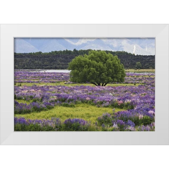 Flaherty, Dennis 18x13 White Modern Wood Framed Museum Art Print Titled - New Zealand, South Island Lupine and tree
