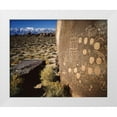 thumbnail image 1 of Flaherty, Dennis 18x15 White Modern Wood Framed Museum Art Print Titled - CA, Bishop, Sierra Mts Curvilinear petroglyphs, 1 of 4