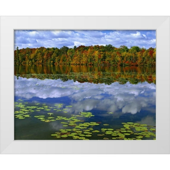 Flaherty, Dennis 18x15 White Modern Wood Framed Museum Art Print Titled - Canada, Ontario Park Haven Lake in autumn