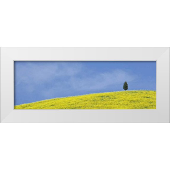 Flaherty, Dennis 18x9 White Modern Wood Framed Museum Art Print Titled - Italy, Tuscany Lone cypress tree grows on a hill