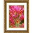 thumbnail image 1 of Flaherty, Dennis 23x32 Gold Ornate Wood Framed with Double Matting Museum Art Print Titled - CA, Indian paintbrush in the Great Basin Desert, 1 of 4