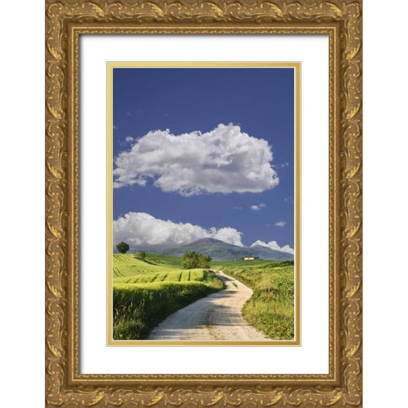 Flaherty, Dennis 23x32 Gold Ornate Wood Framed with Double Matting Museum Art Print Titled - Italy, Tuscany Road leading to a villa