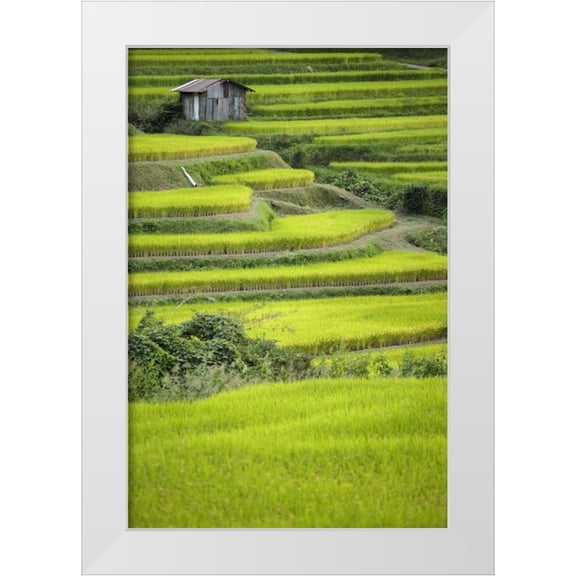 Flaherty, Dennis 23x32 White Modern Wood Framed Museum Art Print Titled - Japan, Nara, Soni Plateau Rice terraces