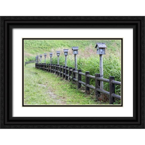 Flaherty, Dennis 24x17 Black Ornate Wood Framed with Double Matting Museum Art Print Titled - Japan, Nara Soni Plateau Wooden lanterns