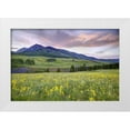 thumbnail image 1 of Flaherty, Dennis 24x17 White Modern Wood Framed Museum Art Print Titled - CO, Crested Butte Flowers and mountain, 1 of 4