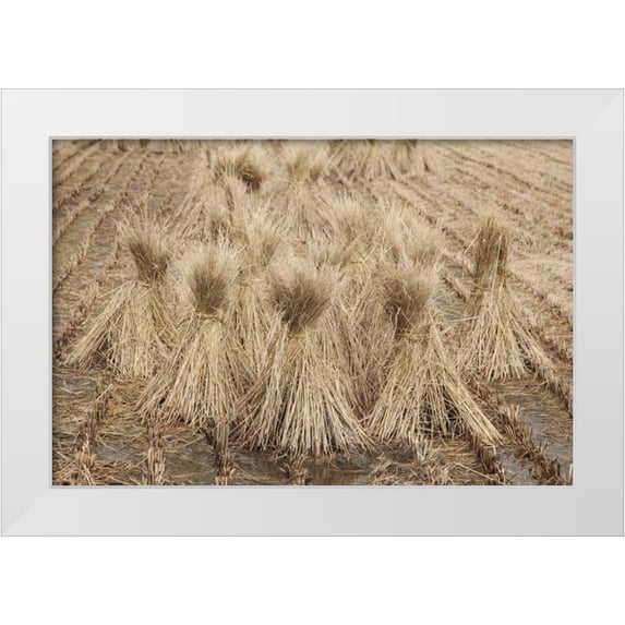 Flaherty, Dennis 24x17 White Modern Wood Framed Museum Art Print Titled - Japan, Nara Prefecture, Heguri-cho Drying rice