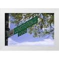 thumbnail image 1 of Flaherty, Dennis 24x17 White Modern Wood Framed Museum Art Print Titled - Washington DC, Constitution Ave street sign, 1 of 4