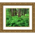 thumbnail image 1 of Flaherty, Dennis 24x20 Gold Ornate Wood Framed with Double Matting Museum Art Print Titled - MT, Kootenai NF, Lush ferns and cedar trees, 1 of 4