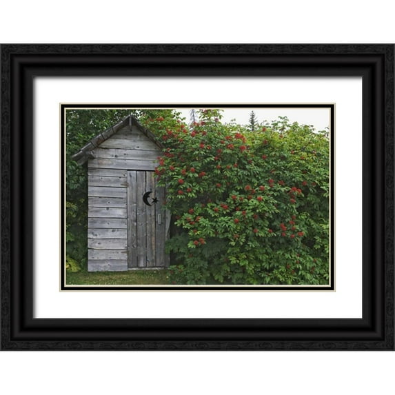Flaherty, Dennis 32x23 Black Ornate Wood Framed with Double Matting Museum Art Print Titled - AK, Homer An outhouse with elderberries