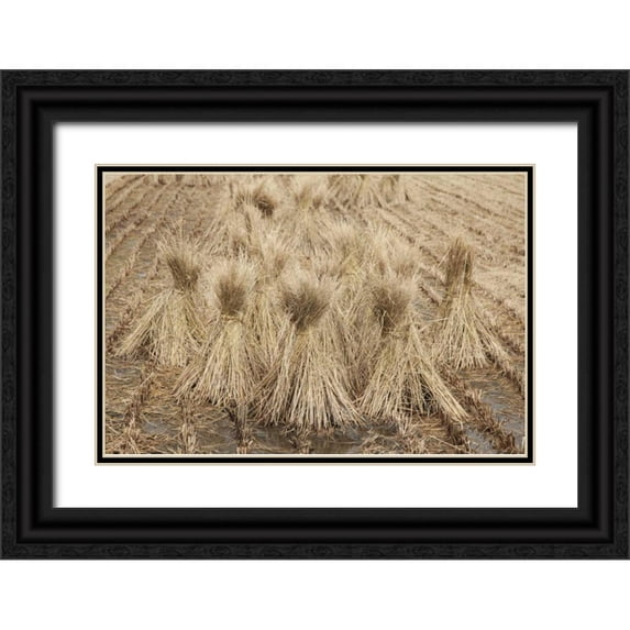 Flaherty, Dennis 32x23 Black Ornate Wood Framed with Double Matting Museum Art Print Titled - Japan, Nara Prefecture, Heguri-cho Drying rice