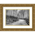 thumbnail image 1 of Flaherty, Dennis 32x23 Gold Ornate Wood Framed with Double Matting Museum Art Print Titled - Japan, Kyoto Walkway through Arashiyama Grove, 1 of 4