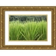 thumbnail image 1 of Flaherty, Dennis 32x23 Gold Ornate Wood Framed with Double Matting Museum Art Print Titled - Japan, Nara, Heguri-cho Growing rice stalks, 1 of 4