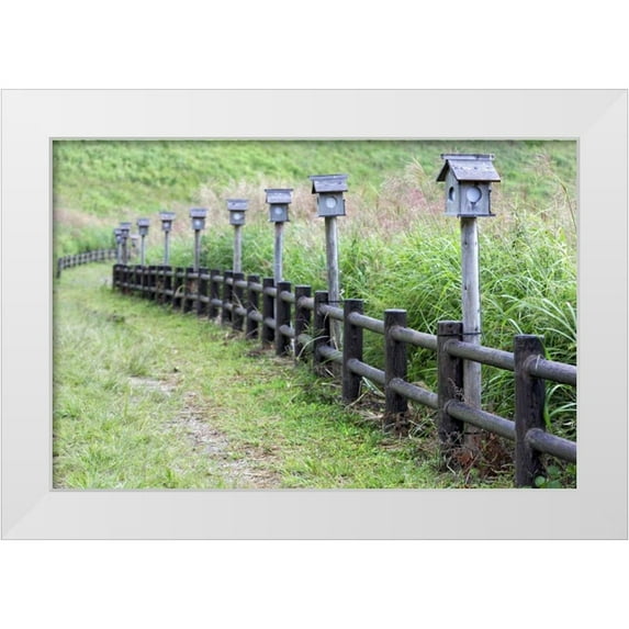 Flaherty, Dennis 32x23 White Modern Wood Framed Museum Art Print Titled - Japan, Nara Soni Plateau Wooden lanterns