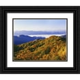 thumbnail image 1 of Flaherty, Dennis 32x26 Black Ornate Wood Framed with Double Matting Museum Art Print Titled - NC, Great Smoky Mts Forest in autumn, 1 of 4