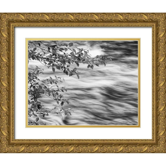 Flaherty, Dennis 32x26 Gold Ornate Wood Framed with Double Matting Museum Art Print Titled - OR, Cascade Range Branches over McKenzie River