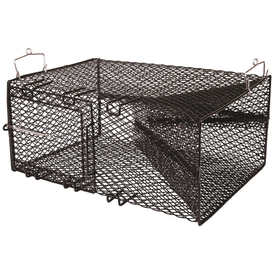 Flambeau Black Pinfish Trap with Sliding Door - Walmart.com