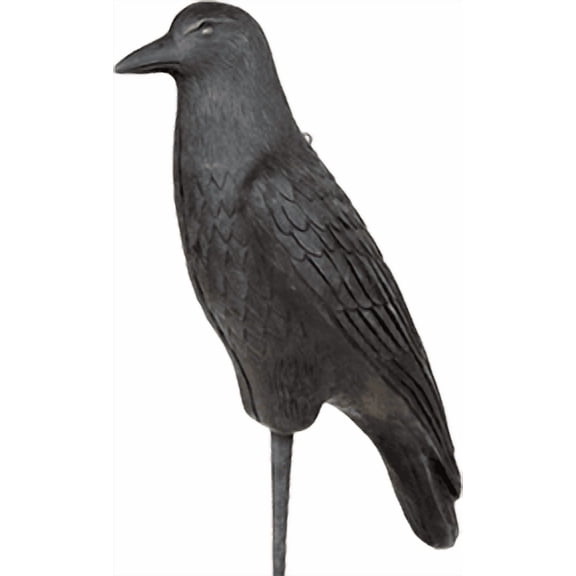 Flambeau Crow Decoy, 12 pk., Black