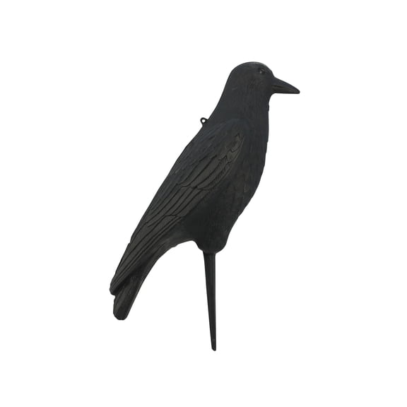 Flambeau Crow Decoy, 12 pk., Black