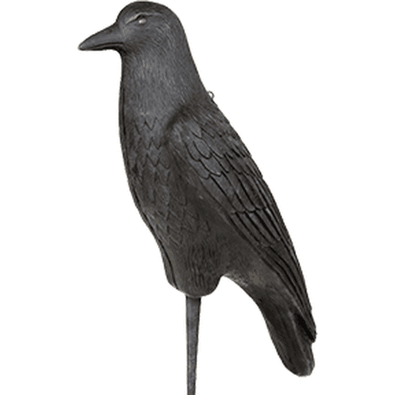 Flambeau Crow Decoy, 12 pk., Black