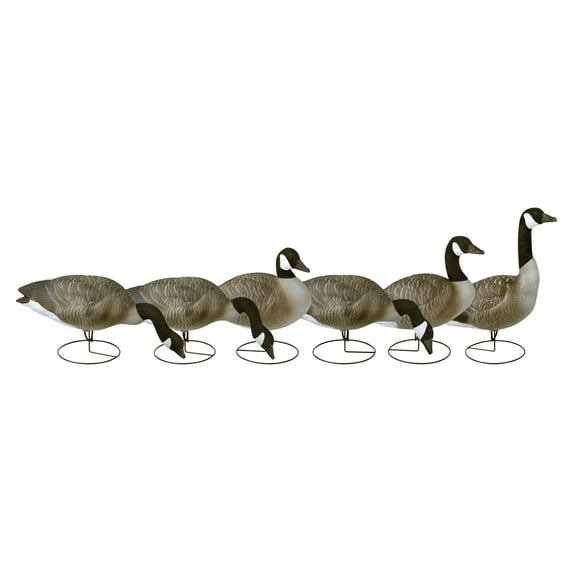 Flambeau Outdoors, 8990FBU, Storm Front, Full Body Canada Standard, Full Size, Goose Decoys, 6 Pack, 24.5 pounds