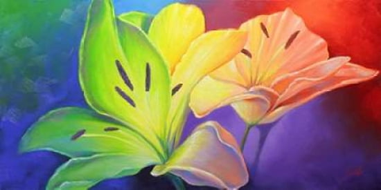 Flamboyant Canvas Art - Sambataro (10 x 20)